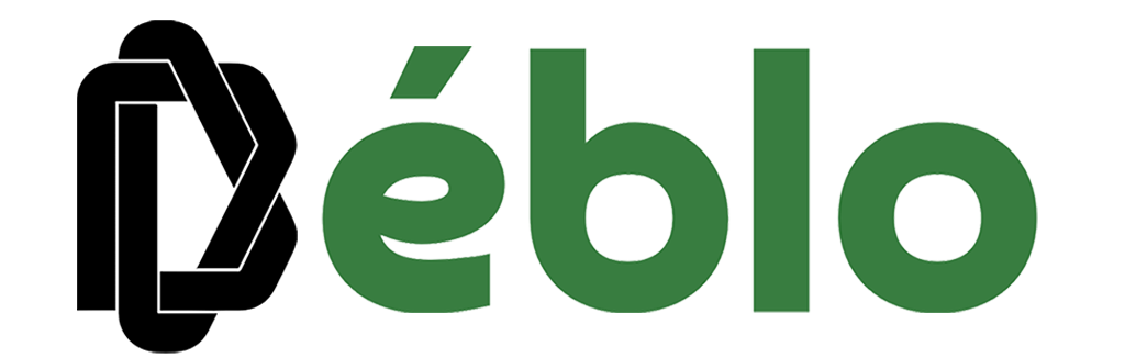 Déblo AI Logo